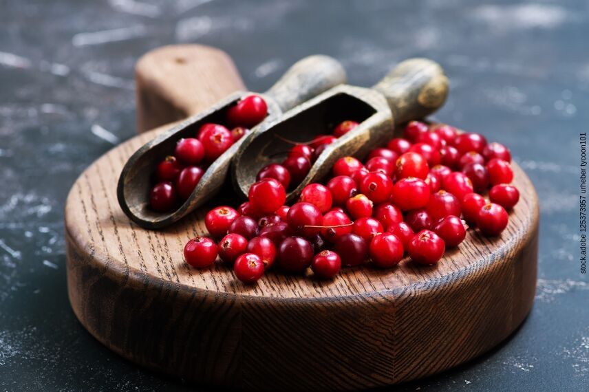 Die Wirkung der Cranberry für einen gesunden Darm